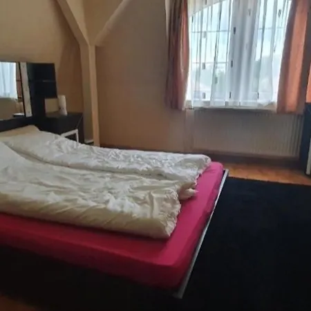 Dávid
